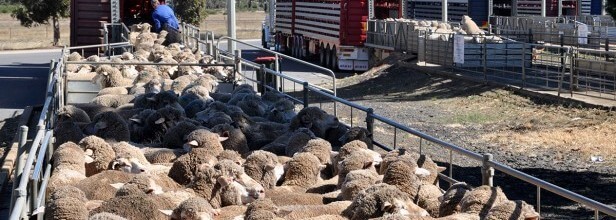 Victorian Farm Safety Rebate Scheme