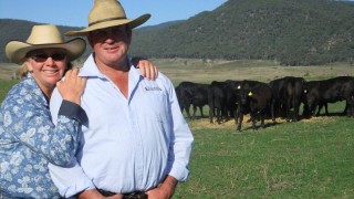 Mudgegonga Cattle Breeders Success